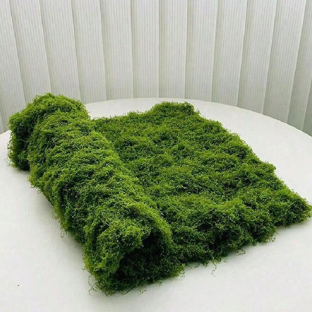 Preserved Moss Sheet - 1*1m Nep Mos DIY Ambachten Gras