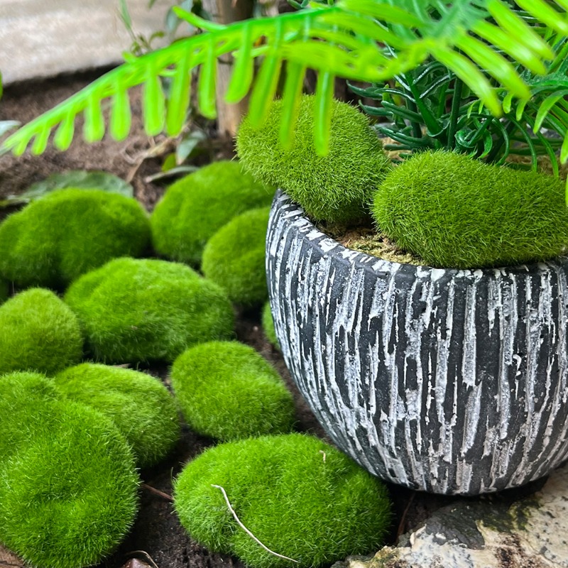 100/5PCS Kunstmatige Mossteen  - Preserved Moss Sheet recensie en prijs